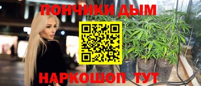 синтетический гашиш Кингисепп