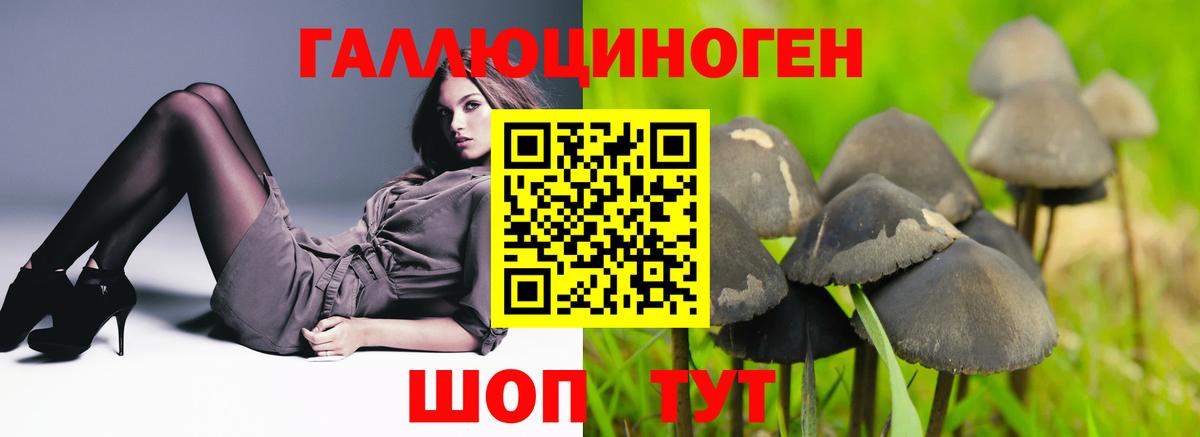Галлюциногенные грибы MAGIC MUSHROOMS Комсомольск-на-Амуре