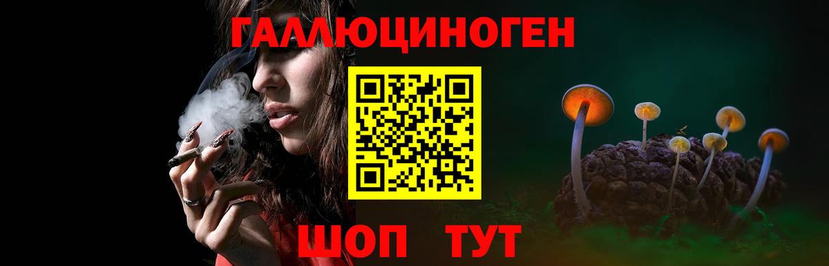 Комсомольск-на-Амуре  Псилоцибиновые грибы Cubensis  Вход с VPN 